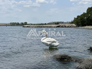 Четиристаен апартамент с панорамна гледка Море